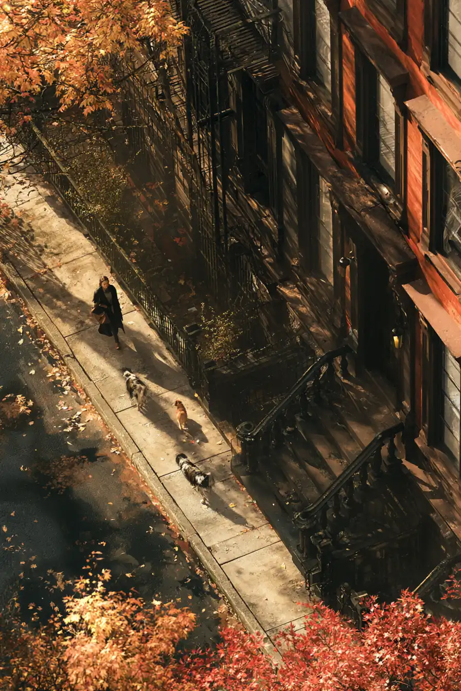 Woman walking two dogs past brownstones in autumn light
